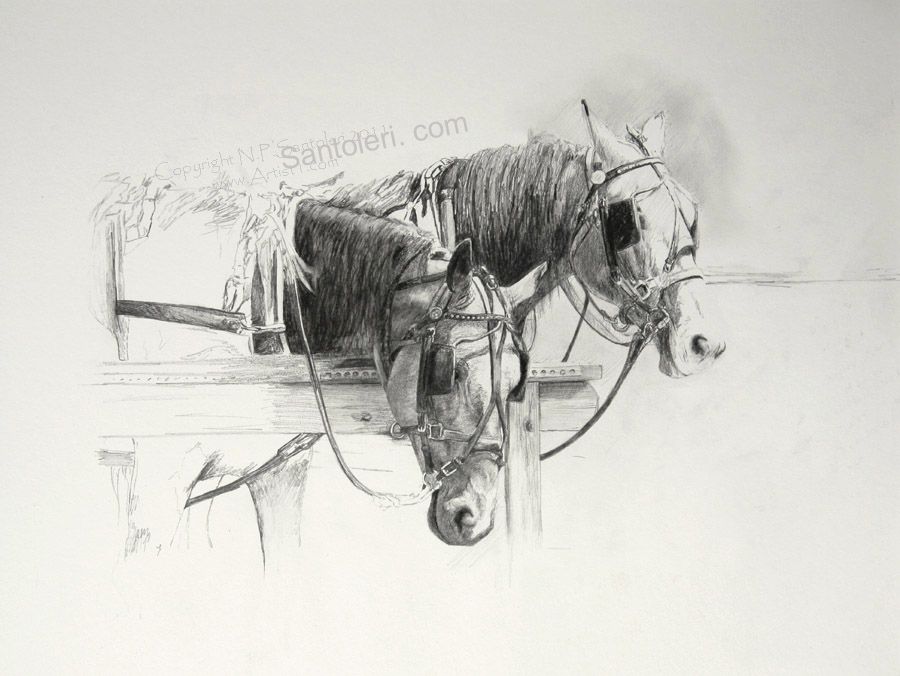 Prints of Amish Horses Study pencil drawing 2011 by Santoleri 