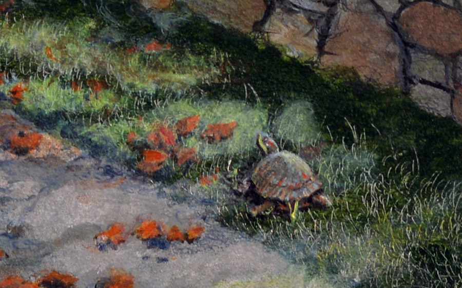 Detail of Turtle Crossing