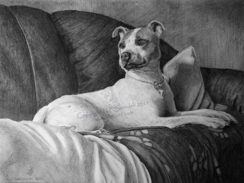 Open Edition Prints of Dog Blankets pencil drawing by Santoleri