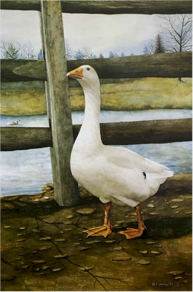 Portrait of a Goose Santoleri limited Edition Print from Watercolor Painting