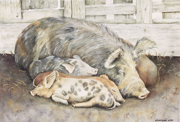 Priscilla and Piglets Santoleri limited Edition Prints from Watercolor Painting