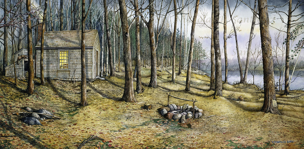 Woodland Visitors by Nicholas Santoleri