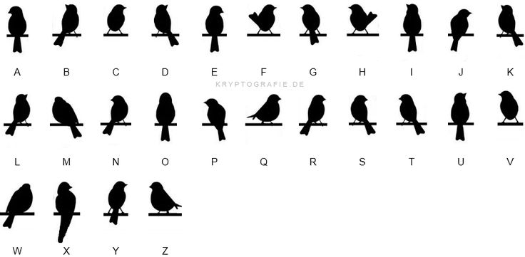 Birds-on-a-wire