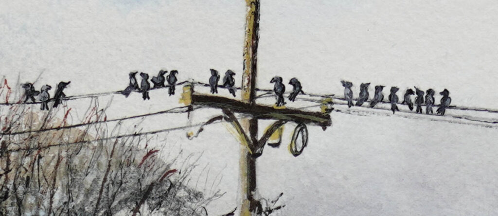 Birds on the Wire 01