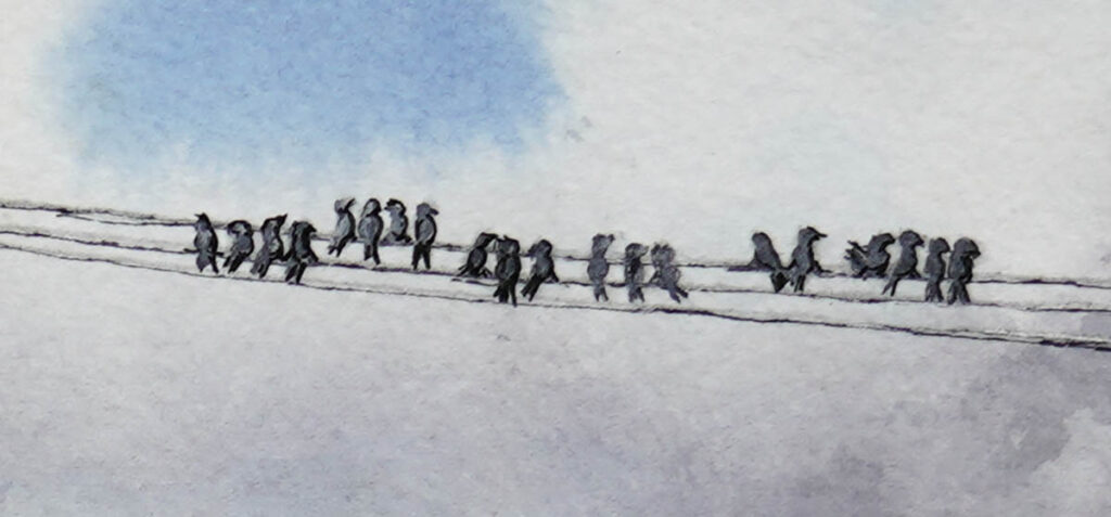 Birds on the Wire 02
